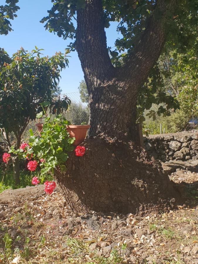 Alle Pendici Dell'Etna Ragalna Buitenkant foto